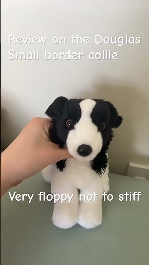 Review on the Douglas small border collie 😼#douglasdog #stuffedanimals #dog
