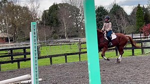 Toofliss during his lesson yesterday. As Lisa said, she’s not used to riding one that’s so polite!!! He’s very very kind and a total gentleman, albeit maybe not the sharpest cookie around. Never says no, not rattled by a dodgy spot, even happy to chuck in a few trot steps if there’s no distance. Such a happy camper - he’s not put together to be a star but he’s going to be awesome for one lucky human. | EventStars Ltd