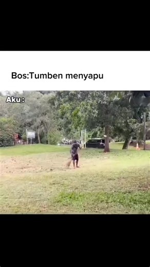 iPhone iBox & iPhone second on Instagram: "Au ah.... #mailstorenabire #mailstorenabire #mailstore #nabire #nabirepapuatengah❤️ #nabire_papua #nabire_update #nabirehitsmasakini_ #papua #ᴘᴀᴘᴜᴀᴛᴇɴɢᴀʜ #papuatengah #nabire #papuabaratdaya #papuanewguinea🇵🇬 #papuankri #papuadamai #papua #fyp #fypppppppppppppppppppppppppppppppppppppppppppppppppppppppppppppppppppppp #fypシ゚viralシfypシ゚ #fypシ゚viralシ2025fyp"