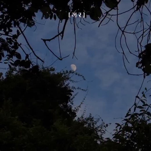 म र ? on Instagram: "#youu06 #mara247"