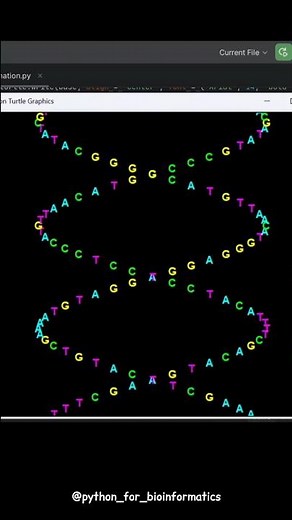 Watch DNA Come Alive with Python Turtle #python #bioinformatics #dna