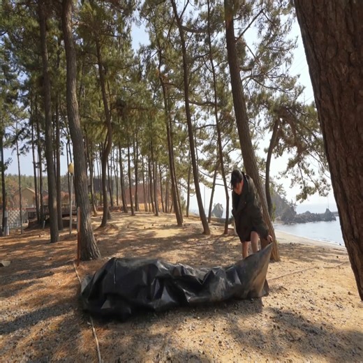 2.6K views · 74 reactions | Solo camping in a giant one-touch tent in front of the windy and rainy sea | Camping Aliza OnAir | Facebook