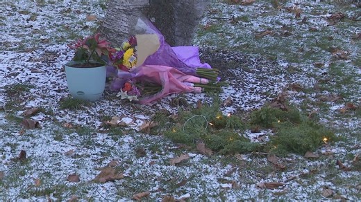 Police: 11-year-old girl among 3 killed in Brighton murder-suicide