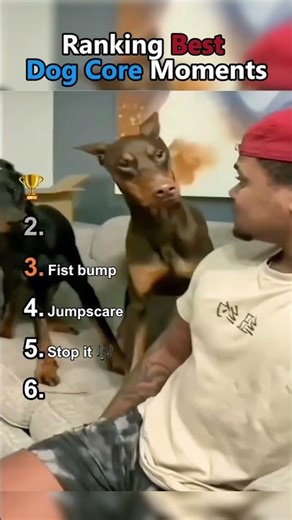 Ranking Iconic Dog Core Moments #shorts #funnydogs #memes