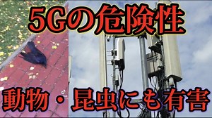 5Gがもたらす身体への悪影響。身体を蝕み、いずれ耐えられなくなる。
