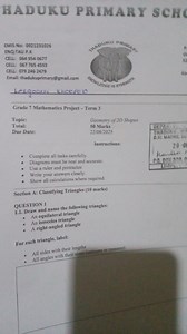Grade 7 Mathematics Project - Term 3Section A: Classifying Tr... | Filo