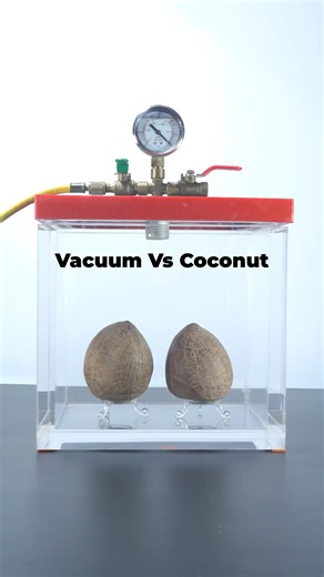 vacuum vs coconut #scienceexperiment #vacuum | vacuum