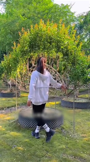 Viral Side on Instagram: "Tree Shaping Art in China 🤯 #instareels"