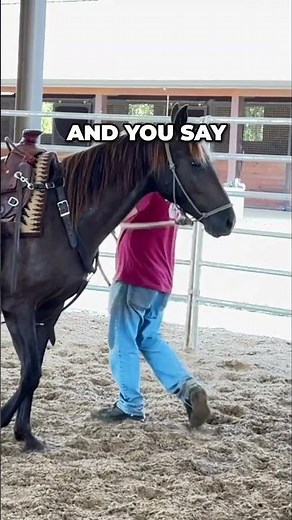 Discover the Amazing Temperament of Tennessee Walking Horses