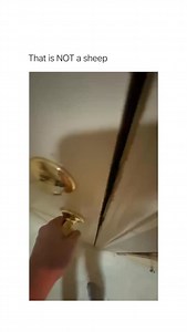 76K views · 3.3K reactions | Activated a boss battle (via: @kill_cxsey) | Betch | Facebook