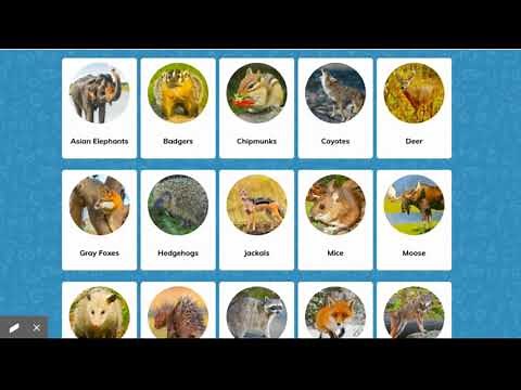 PebbleGO - Third Grade