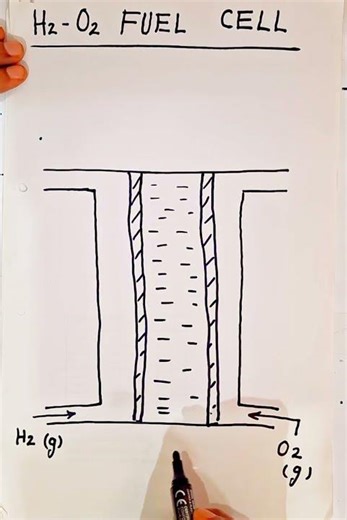 How to draw H₂–O₂ Fuel Cell Diagram Drawing for exam #shorts