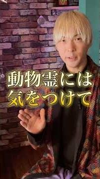 動物霊には気をつけて #スピリチュアル #タロット #占い #生き方 #霊能力