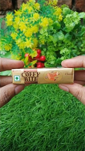 Coffee Bite Chocolate ASMR | So Satisfying Crunch ☕🍫 #toffee #testy #shortvideo #vairal #trending