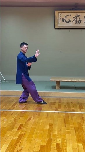 太極拳の勁力表現がとても難しい#張紹偉