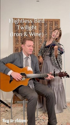 Flightless Bird from Twilight by Iron & Wine on electric violin and guitar