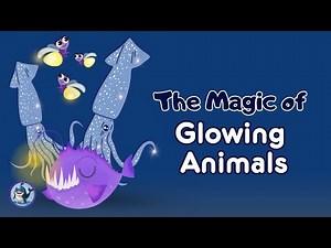 The Magic of glowing animals | Knowledge for kids