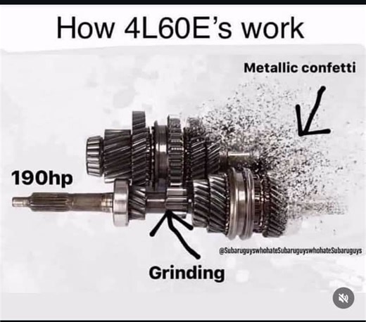 Dominic | Kansas City Creator on Instagram: "THEY SUCK #fyp #explore #explorepage #fblifestyle"