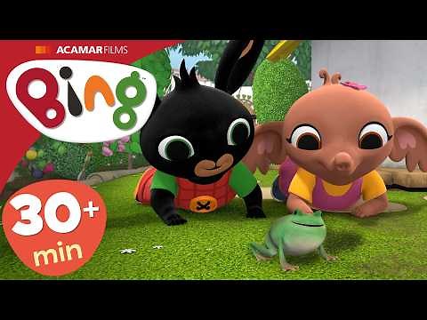 Żaba, Sklep oraz INNE | Bing Odcinki po Polsku | Bing Polski