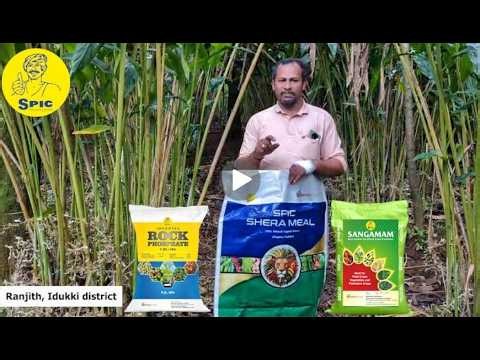 Farmer Success Story from Kerala | SPIC Shera Meal