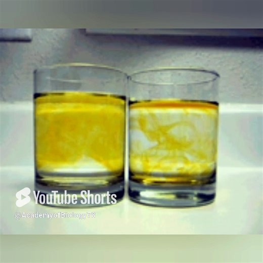 Diffusion class 9 Biology in Urdu/ in Hindi | Lec#19 | chp#4 | cells and tissues | passive transport