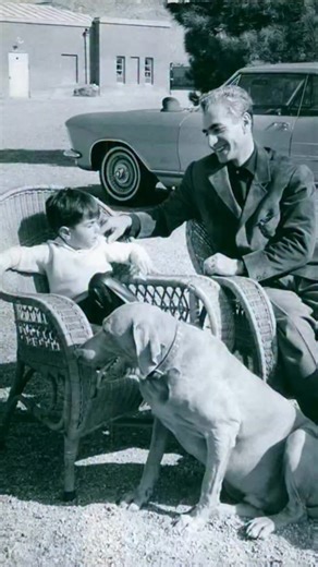 BOQZ on Instagram: "This viral video captures a man repeatedly attempting to flee a pursuing Belgian Malinois through a kennel gate, creating a comedic "infinity loop" as the dog's relentless energy traps him in a cycle of evasion, filmed at what appears to be a dog training facility. , an account specialising in absurd, decontextualised human moments, the clip amassed over 8 million views and 34,000 likes within weeks, highlighting the breed's renowned stamina—Belgian Malinois can sustain high-