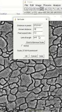 grain size measurement by the help of image j software