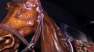 Newcastle Discovery Museum's New Exhibition!