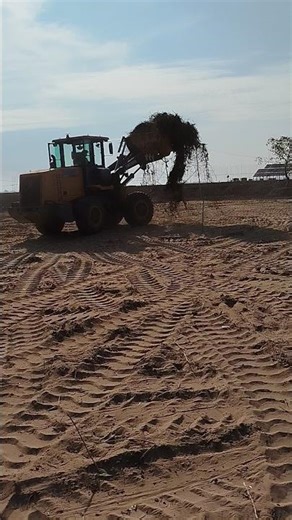 Garbage Clean By Payloader 😄