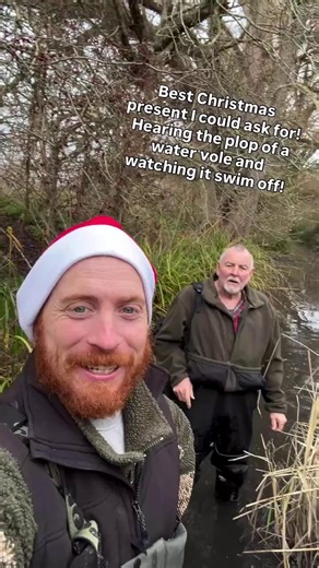💚 A sound we’ve waited over 20 years to hear That gentle plop in this video is the moment a water vole enters the Upper Hogsmill river — a powerful sign of recovery for a river where the species had been locally extinct for decades. Released last summer, these water voles are already doing what they do best: digging burrows, shaping riverbanks, and helping bring life back to the river corridor. It’s a reminder that when we restore rivers and work with nature, wildlife responds — sometimes faste