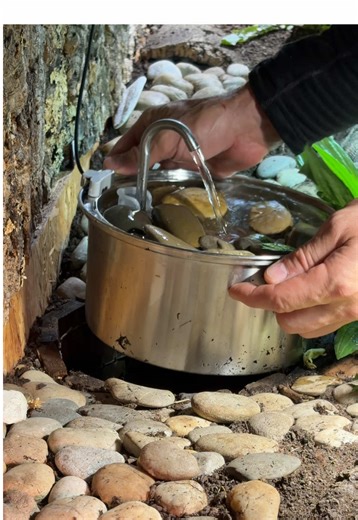 It’s actually quite simple: At least 11-13cm layer of soil, dig a round whole with the size of the fountain, insert a wooden mini fence upside down (so that there is a seamless even transition). And that’s it. The stones around the fountain are not only decorative, but also help avoiding carrying dirt into the fountain. Still, you have to clean it regularly of course. P.S. this fountain is sold by several brands, you just have to google for “cat fountain 3.2l stainless steel”. But if you want to