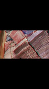 Money Cash 💵💵🔥💕 | Excel Vision Production