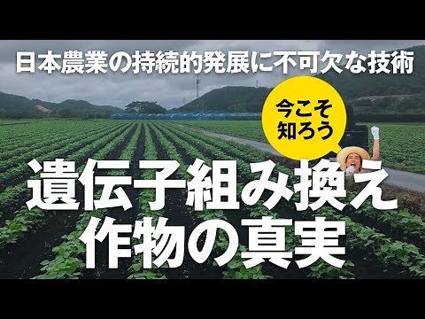 遺伝子組み換え作物の真実とは - 日本で最もGM作物に詳しいジャーナリストに聞いてみた！〜ダイジェスト版
