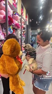 1.3K reactions · 75 shares | Indeed, your Magician in Blue definitely makes dreams come true. Create more beautiful memories together, Cookie the Choosy!  Thank you, Ms. Airalyn Atienza, for sharing. #IndulgeInMAGIC #RegaleYourselfInMAGIC #LiveItUpForMAGIC #BlueMagic #ILoveBlueMagic #YourGiftShopOfChoice #BlueMagicPH #Gifts #OnlineShopping #BlueMagicTiktok #BlueMagicShopee #BlueMagicLazada | Blue Magic | Facebook