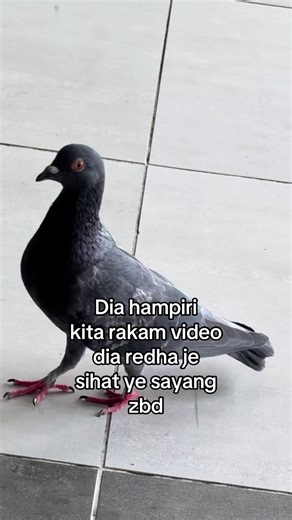 Creating Engaging Videos for 2025