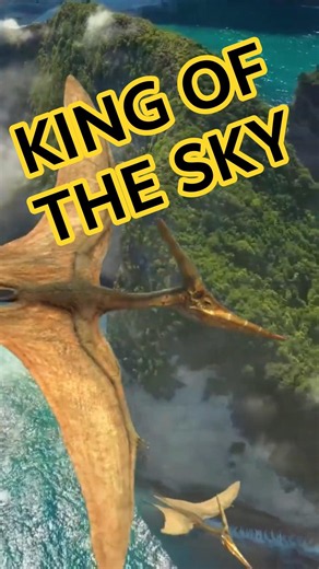 Pteranodon Flight: Majestic Views of the Prehistoric Skies! 🦖