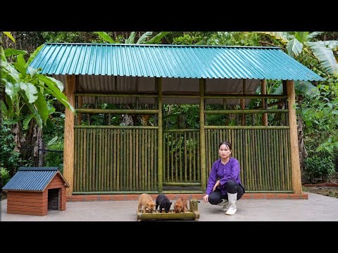 The Vietnamese girl has completed building a wooden house and is living there with her poor dogs