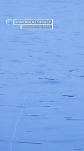 5.4K views · 20 reactions | Did you know you can fish for stripers...