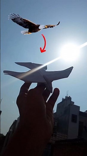 Eagle Paper Plane 🦅!! 📄✈️