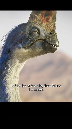 Mysterious Dino Nesting Behavior Revealed!