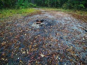 'No human knows:' Devil's Tramping Ground legend predates founding of the United States