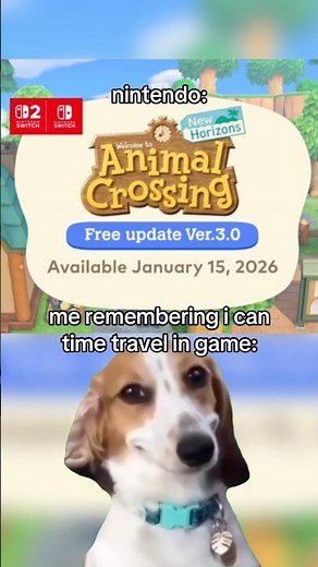 ANIMAL CROSSING UPDATE HACK 👀 #acnh #dantdmanimalcrossing #animalcrossingupdate #nintendo