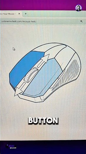 How to Test Your Mouse Buttons Online (Click & Scroll Test)