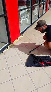 Escaped Pet: Albino Darwin Carpet Python