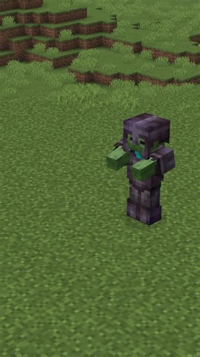 TacticalSlyme on Instagram: "#fyp #fypシ #explore #explorepage #minecraft #gaming #hardcore #glitch"