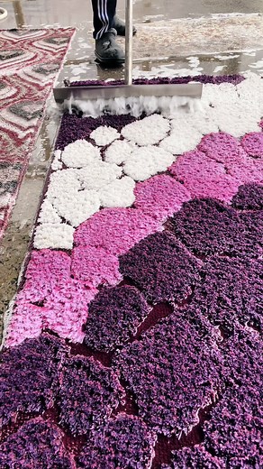 Carpet scraping #asmr #satisfying #carpetcleaning #rugwashing