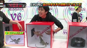 V6箱の中身を手の感触だけで当てろ