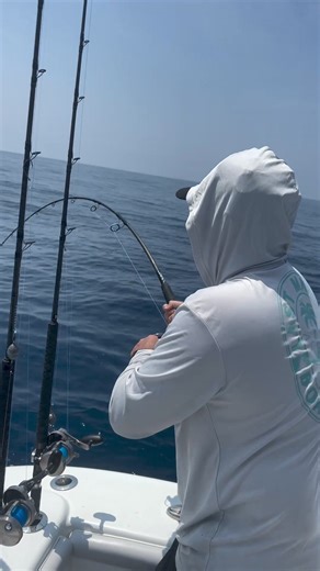 4.4K views · 48 reactions | Governor DeSantis Announces 103-Day Gulf...