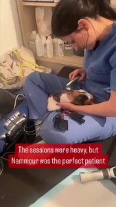 92K views · 10K reactions | 퐌퐈퐑퐀퐂퐔퐋퐎퐔퐒! Cat 퐒퐇퐎퐓 in spine causing...