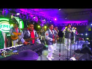 Super Formula Musical - Querreque || El Huizache (en vivo).